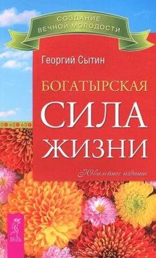 Георгий Сытин Богатырская сила жизни обложка книги