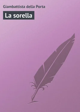 Giambattista della La sorella обложка книги