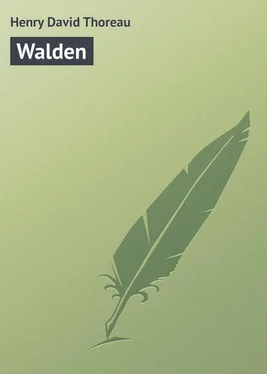 Henry David Walden обложка книги