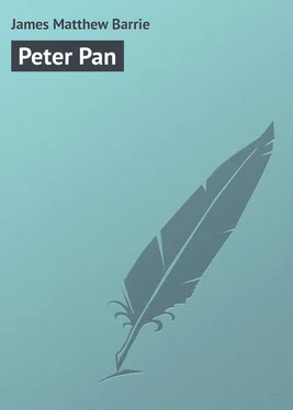 James Matthew Peter Pan обложка книги