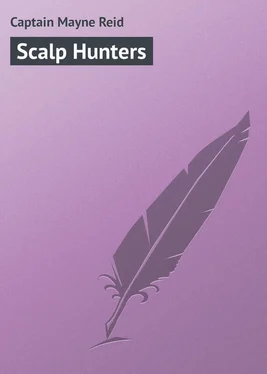 Captain Mayne Scalp Hunters обложка книги