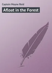 Captain Mayne - Afloat in the Forest