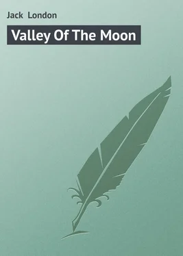 Jack London Valley Of The Moon обложка книги