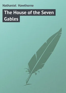 Nathaniel Hawthorne The House of the Seven Gables обложка книги