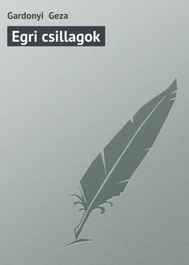 Gardonyi Geza Egri csillagok обложка книги