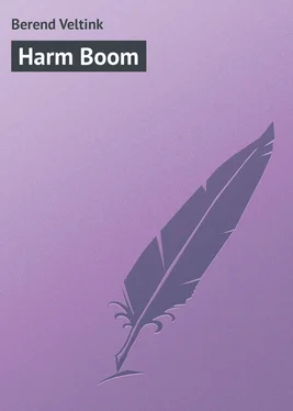 Berend Veltink Harm Boom обложка книги