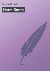 Berend Veltink - Harm Boom