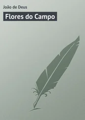 João Deus - Flores do Campo