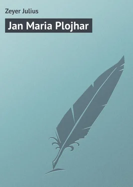 Zeyer Julius Jan Maria Plojhar обложка книги
