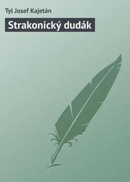 Tyl Josef Strakonický dudák обложка книги