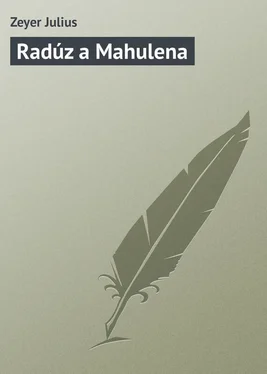Zeyer Julius Radúz a Mahulena обложка книги