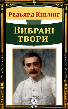 Редьярд Кіплінг Вибрані твори обложка книги