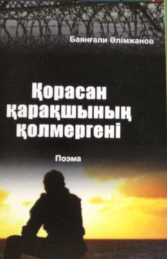 Баянғали Әлімжанов Қорасан қарақшының қолмергені обложка книги