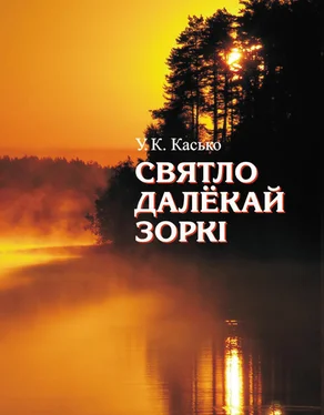 Уладзімір Касько Святло далёкай зоркі обложка книги