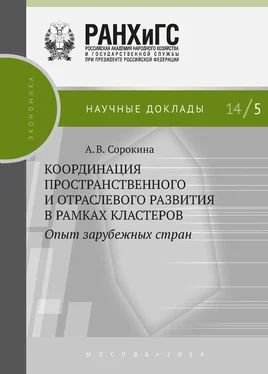 Алла Сорокина Координация пространственного и отраслевого развития в рамках кластеров. Опыт зарубежных стран обложка книги