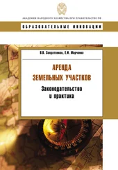 Владимир Солдатенков - Аренда земельных участков. Законодательство и практика
