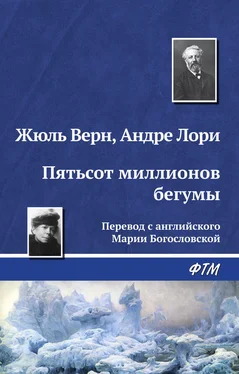 Андре Лори Пятьсот миллионов бегумы обложка книги