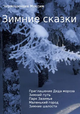 Чермошенцев Максим Зимние сказки обложка книги