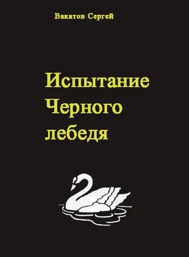 Вакатов Сергей Испытание Черного лебедя обложка книги