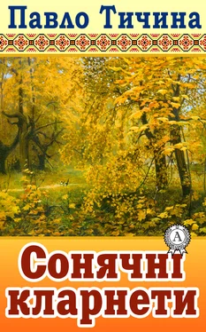 Павло Тичина Сонячні кларнети обложка книги