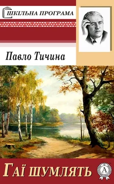 Павло Тичина Гаї шумлять обложка книги