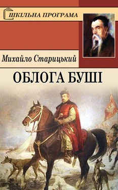 Михайло Старицький Облога Буші обложка книги