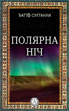 Вагіф Султанли Полярна ніч