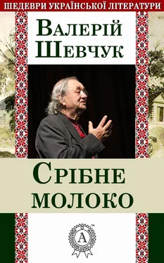 Валерій Шевчук Срібне молоко обложка книги