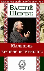 Валерій Шевчук - Маленьке вечірнє інтермеццо