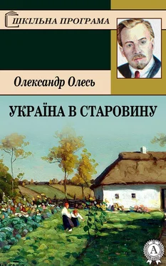 Олександр Олесь Україна в старовину обложка книги