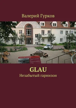 Валерий Гурков Glau обложка книги