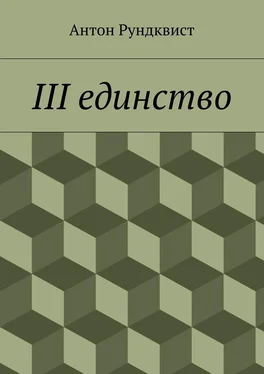 Антон Рундквист III единство обложка книги