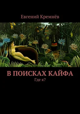 Евгений Кремнёв В поисках кайфа обложка книги