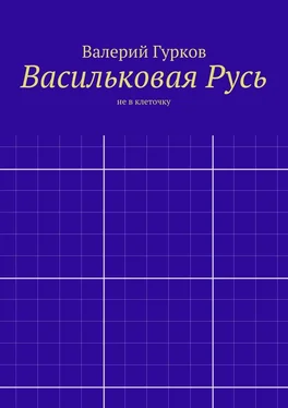 Валерий Гурков Васильковая Русь обложка книги