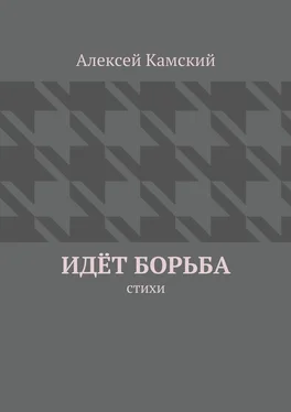 Алексей Камский Идёт борьба обложка книги