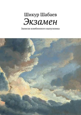 Шикур Шабаев Экзамен обложка книги