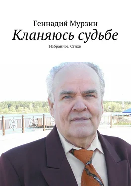 Геннадий Мурзин Кланяюсь судьбе обложка книги