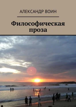 Александр Воин Философическая проза обложка книги