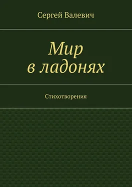 Сергей Валевич Мир в ладонях обложка книги