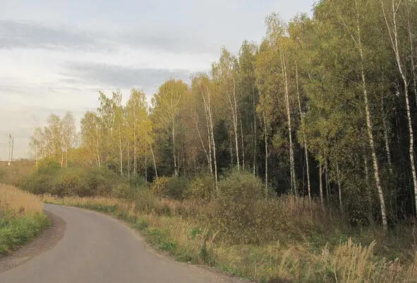 Спуск к Икшинскому водохранилищу от Дмитровского шоссе чуть севернее - фото 13