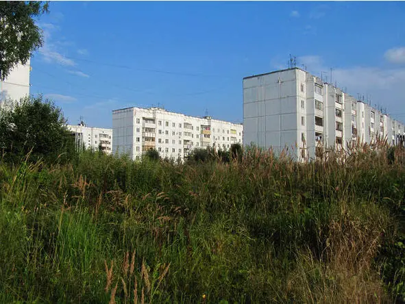 ТРАВАМИ ГУСТО ПРОРОСШИЕ В ЗЕЛЕНИ СТЕНЫ ТЕРЯЛИСЯ Пятиэтажки городка 1 - фото 36