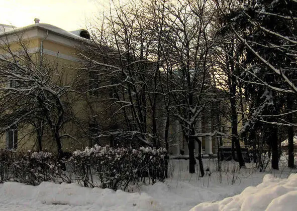 ИЗ МРАМОРА КАРРАРСКОГО КОЛОННЫ НА ПОТОЛКАХ СИБИРСКИЙ МАЛАХИТ И В ВОЗДУХЕ - фото 41