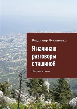 Владимир Лукашенко Я начинаю разговоры с тишиной обложка книги