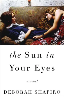 Deborah Shapiro The Sun in Your Eyes обложка книги