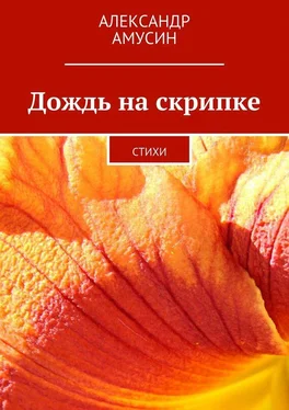 Александр Амусин Дождь на скрипке обложка книги