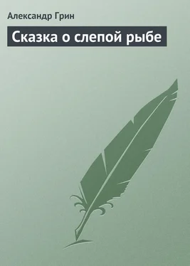 Александр Грин Сказка о слепой рыбе обложка книги