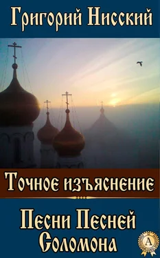 Григорий Святитель Точное изъяснение Песни Песней Соломона обложка книги