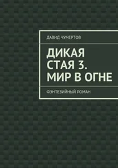 Давид Чумертов - Дикая стая 3. Мир в огне