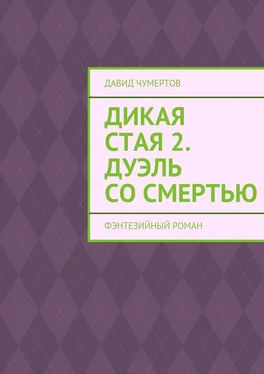 Давид Чумертов Дикая стая 2. Дуэль со смертью обложка книги