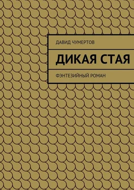 Давид Чумертов Дикая стая обложка книги